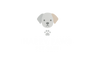 HappyPaws